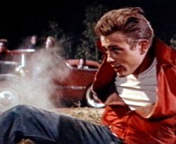 Oct 29 1955