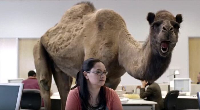 Humpday