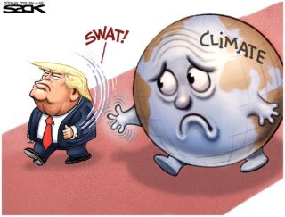 Sack