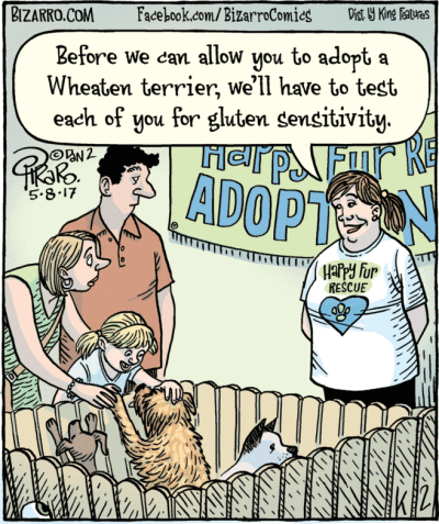 Bizarro