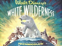Wilderness