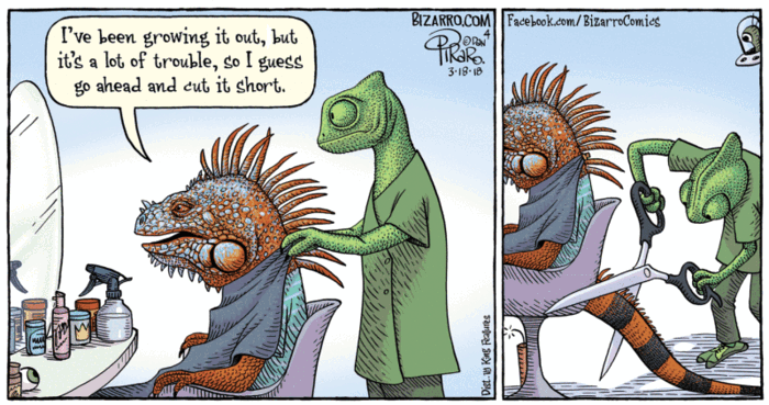 Bizarro