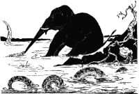 Elephant2
