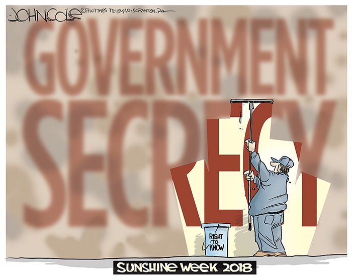 031118coletoon
