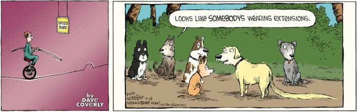 Crspe180318
