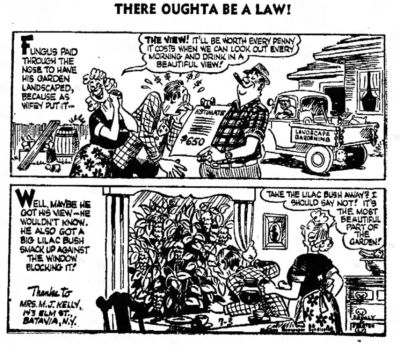Law