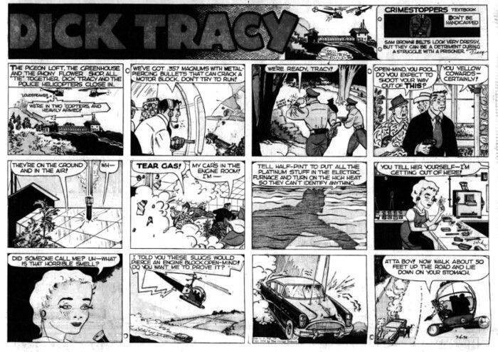 Tracy